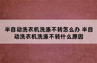 半自动洗衣机洗涤不转怎么办 半自动洗衣机洗涤不转什么原因